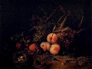 Rachel Ruysch Still-Life with Fruit and Insects France oil painting artist